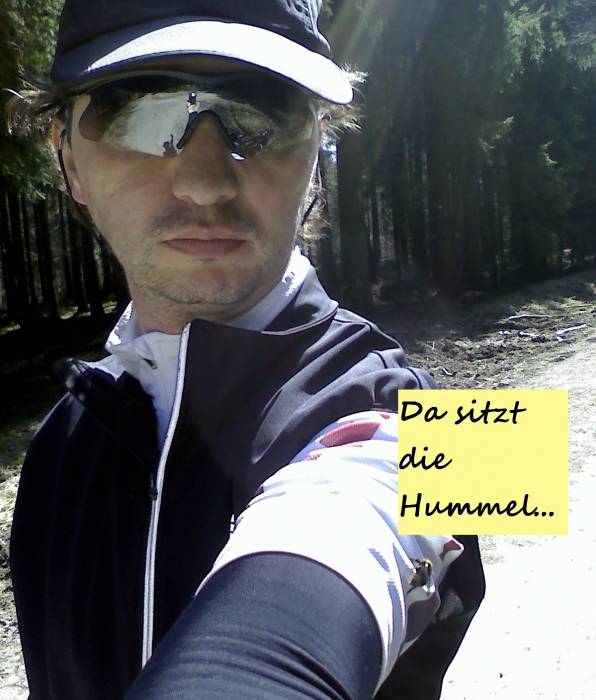 hummel_ego.jpg